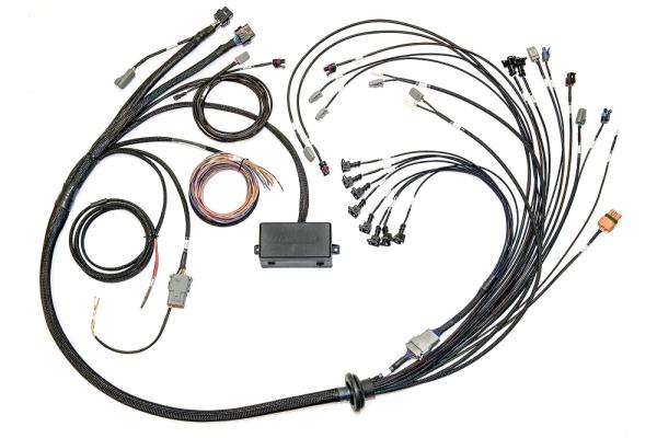 Elite 2500 Ford Coyote 5.0 Late Cam Solenoid Terminated Harness